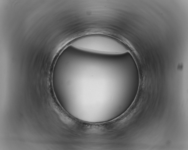 X0000089730786200706210915