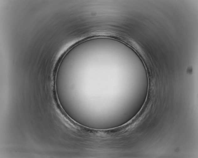 X0000089730787200706210915