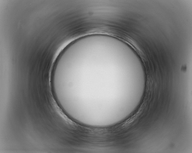X0000089730788200706210915