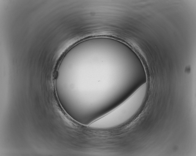 X0000089730789200706210915