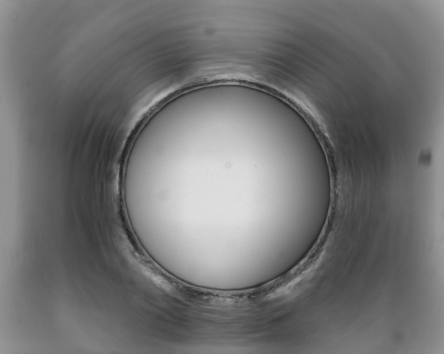 X0000089730790200706210915