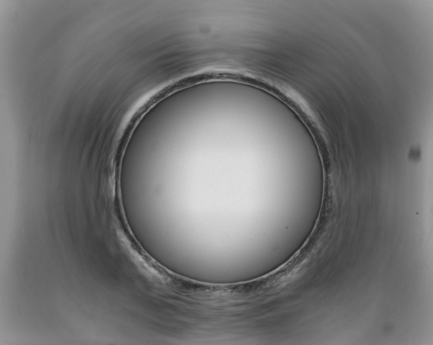 X0000089730791200706210915
