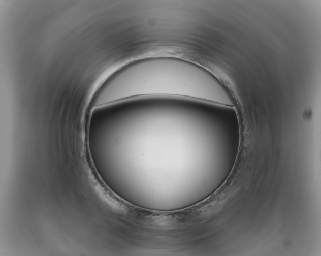 X0000089730792200706210915