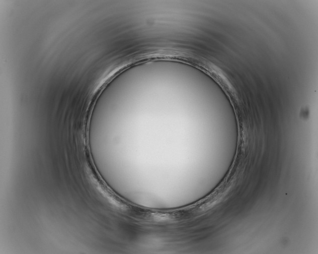 X0000089730794200706210915