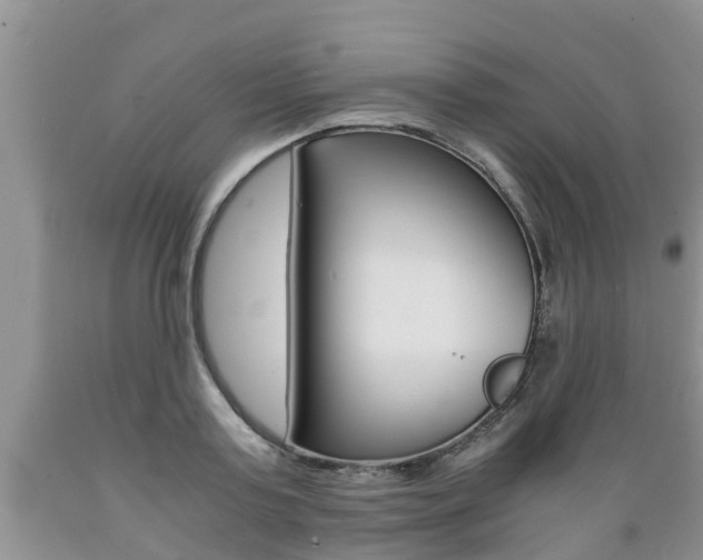 X0000089730795200706210915