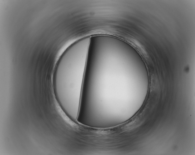 X0000089730796200706210915