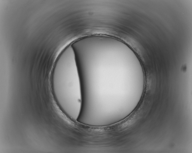 X0000089730798200706210915
