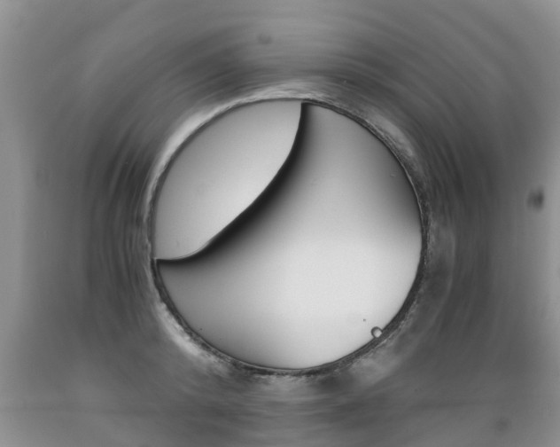 X0000089730800200706210915