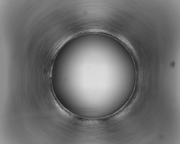 X0000089730801200706210915