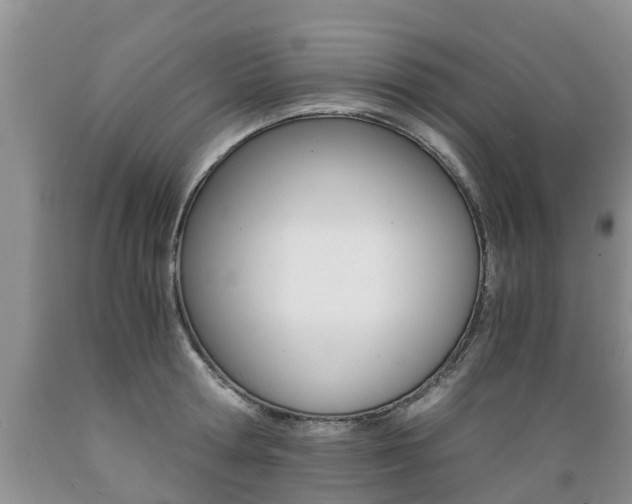 X0000089730802200706210915