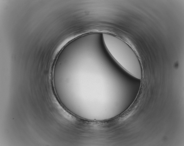 X0000089730803200706210915