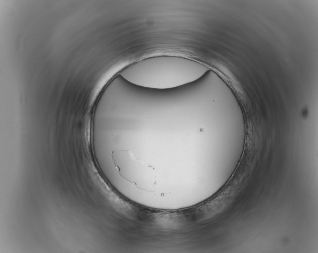 X0000089730804200706210915