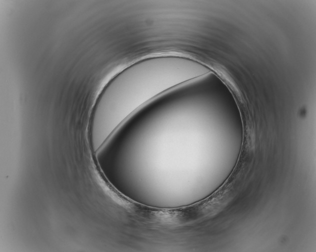X0000089730805200706210915