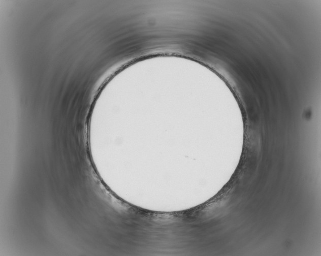 X0000089730807200706210915