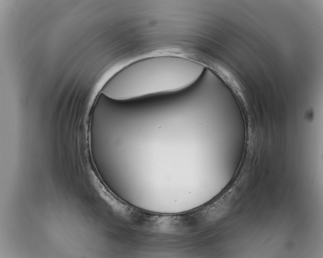 X0000089730808200706210915
