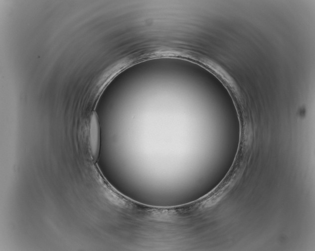 X0000089730809200706210915