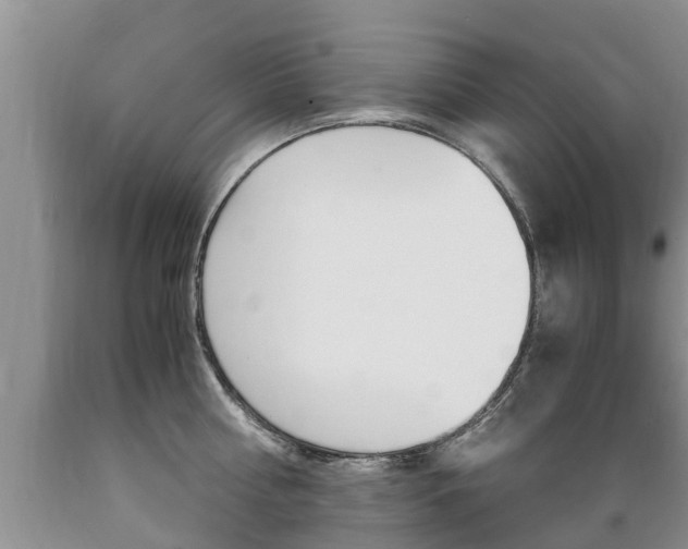 X0000089730810200706210915