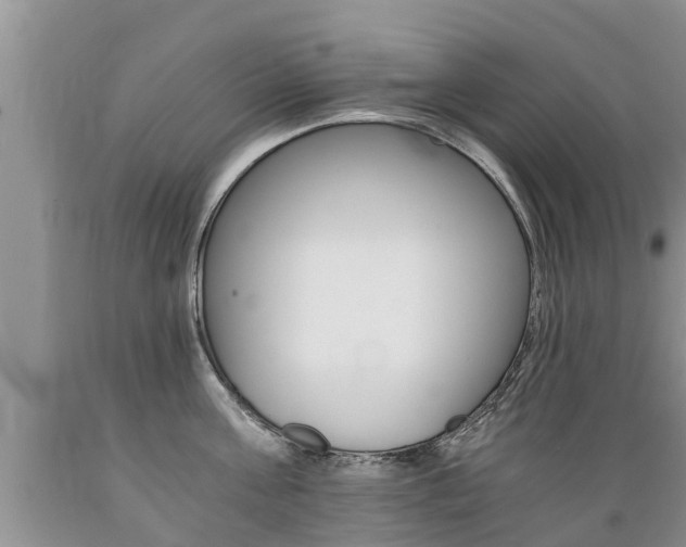 X0000089730811200706210915