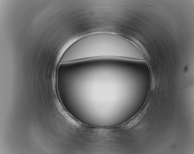 X0000089730812200706210915