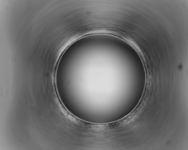 X0000089730813200706210915