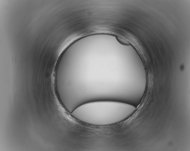 X0000089730814200706210915