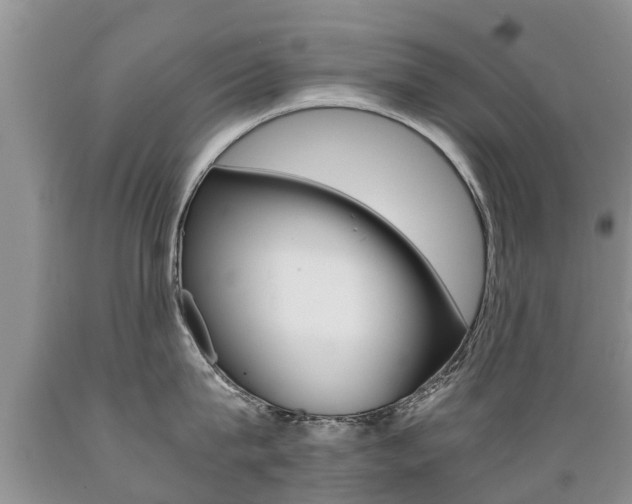 X0000089730815200706210915