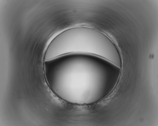 X0000089730816200706210915