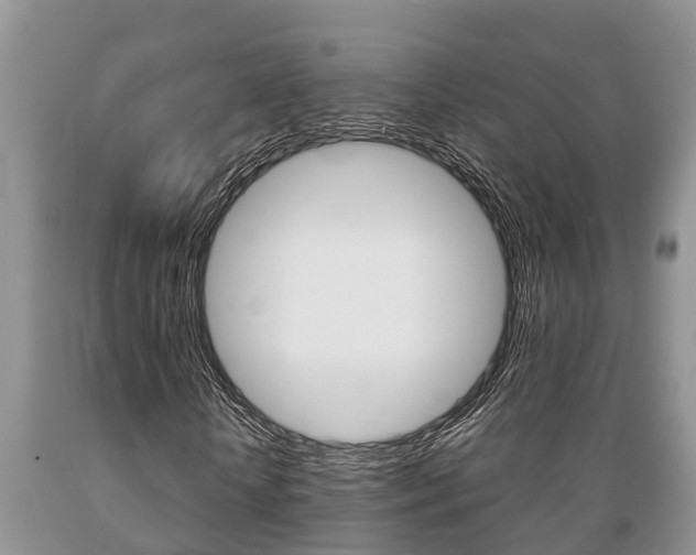 X0000089730818200706210914