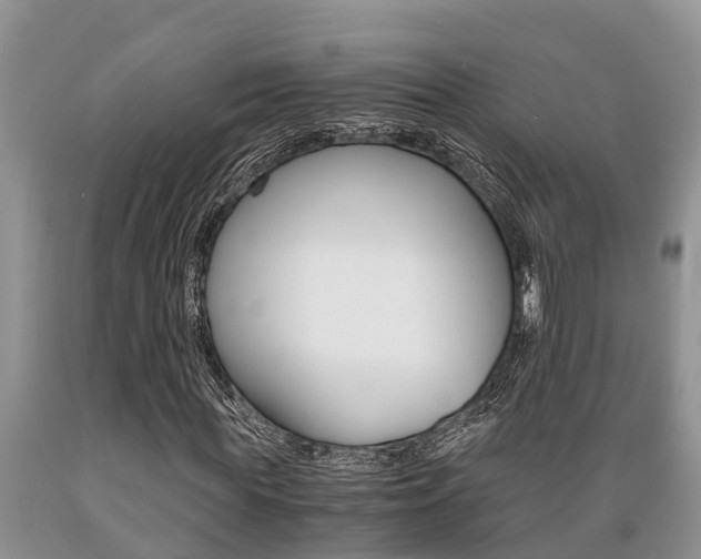 X0000089730819200706210914
