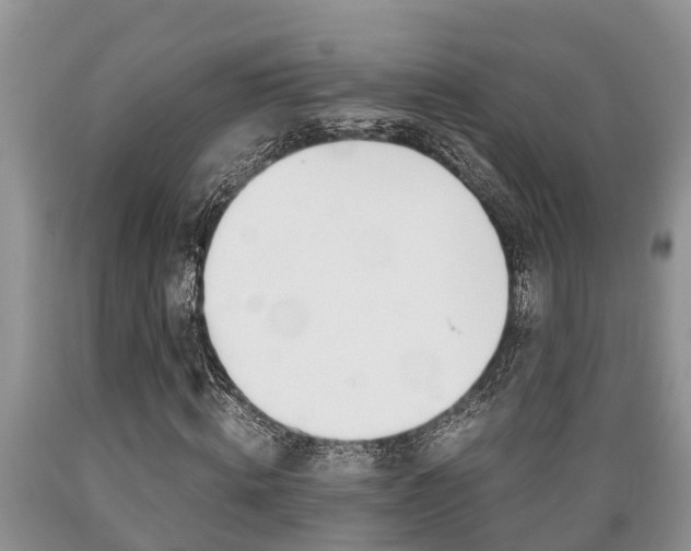X0000089730820200706210914