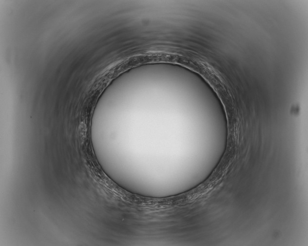 X0000089730821200706210914