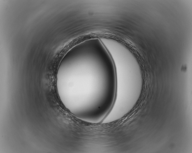 X0000089730822200706210914