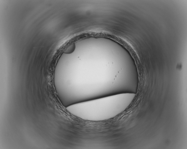 X0000089730823200706210914
