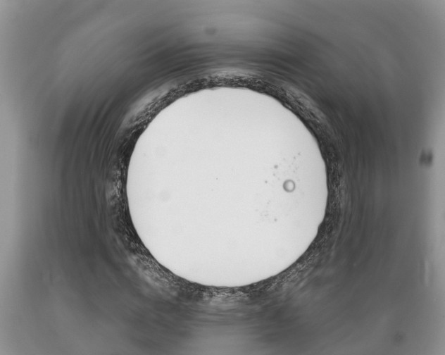 X0000089730824200706210914