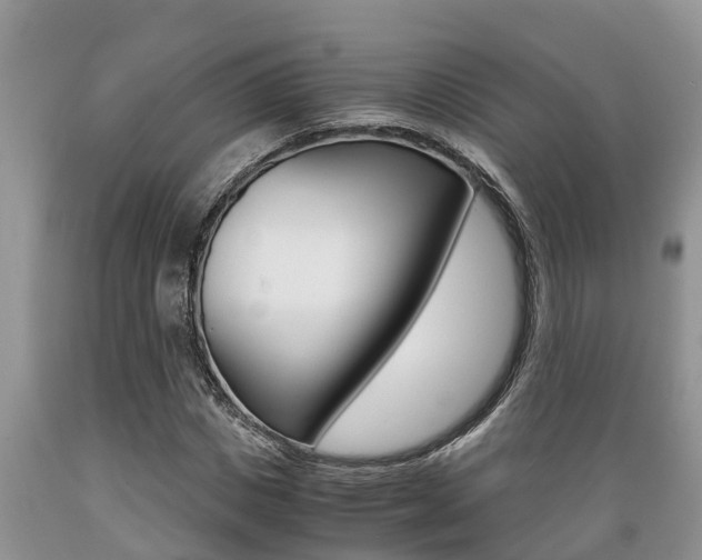 X0000089730825200706210914