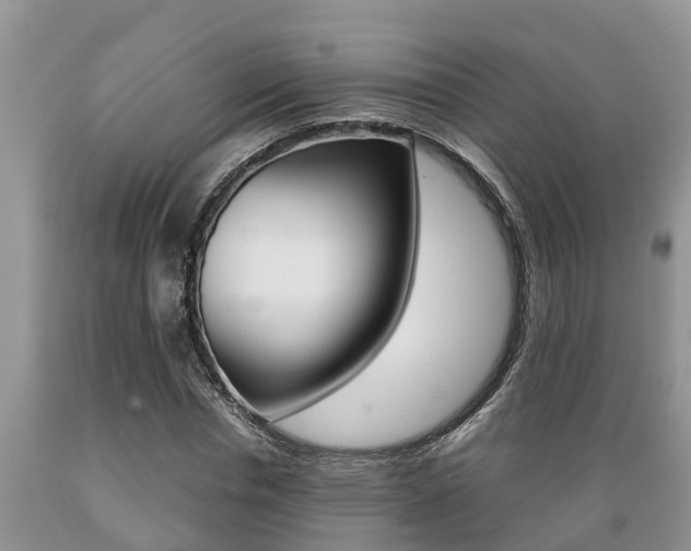 X0000089730826200706210914
