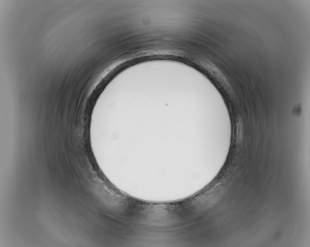 X0000089730828200706210914
