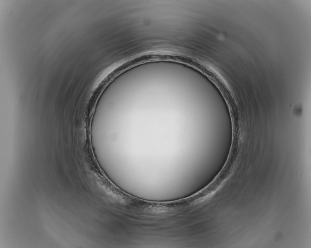 X0000089730829200706210914