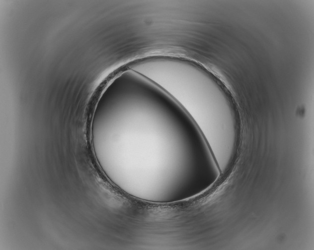 X0000089730830200706210914