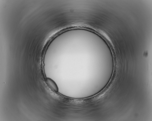 X0000089730831200706210914