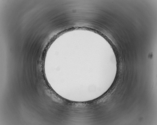 X0000089730832200706210914