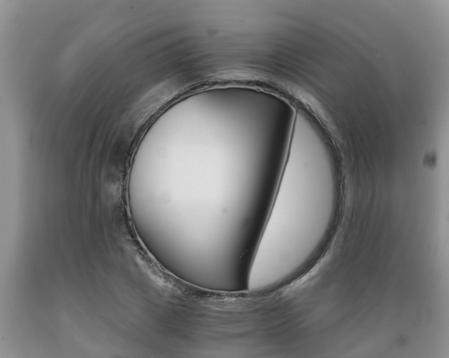 X0000089730833200706210914