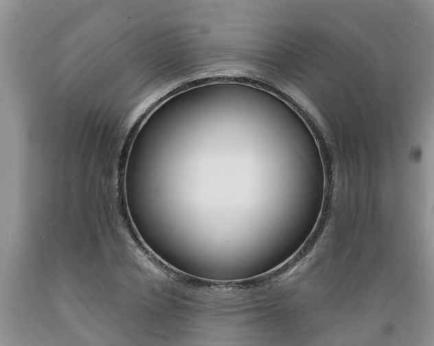 X0000089730834200706210914