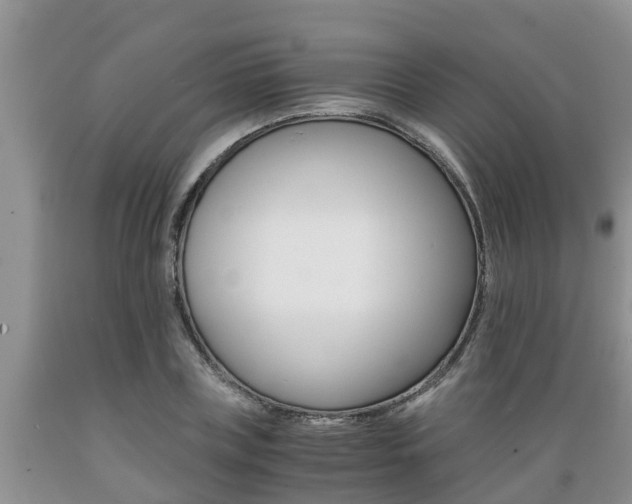X0000089730835200706210914