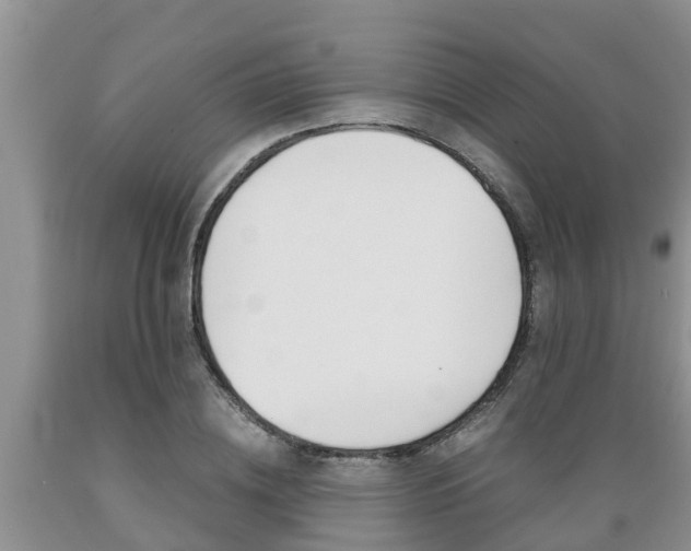 X0000089730836200706210914