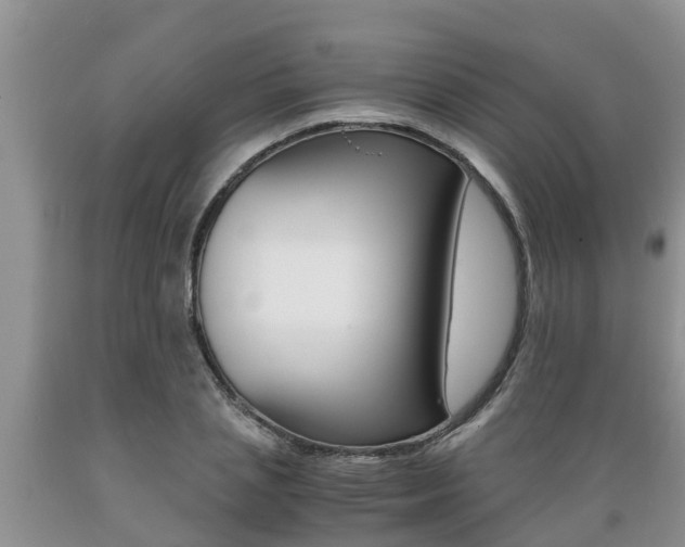 X0000089730837200706210914