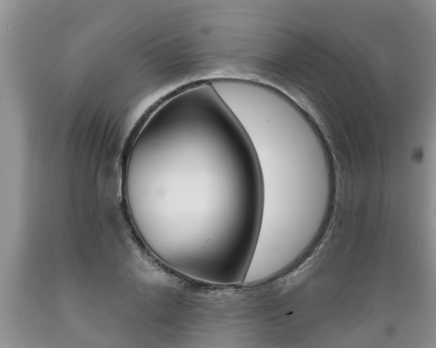 X0000089730838200706210914