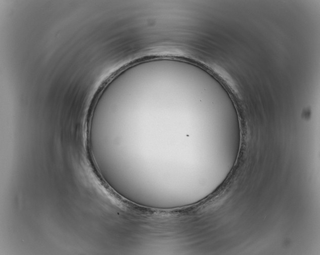 X0000089730840200706210914