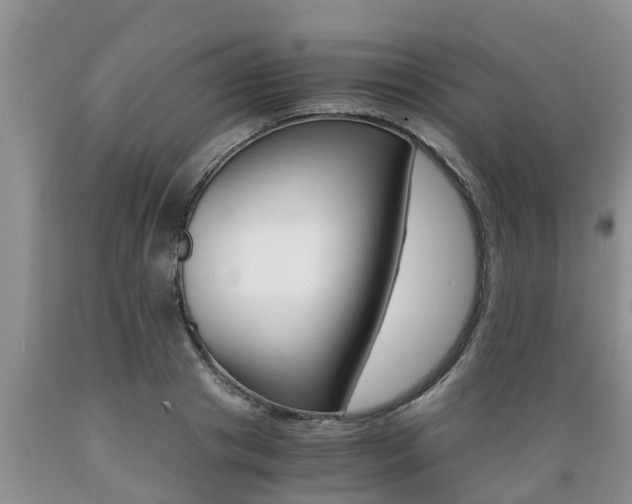 X0000089730841200706210914