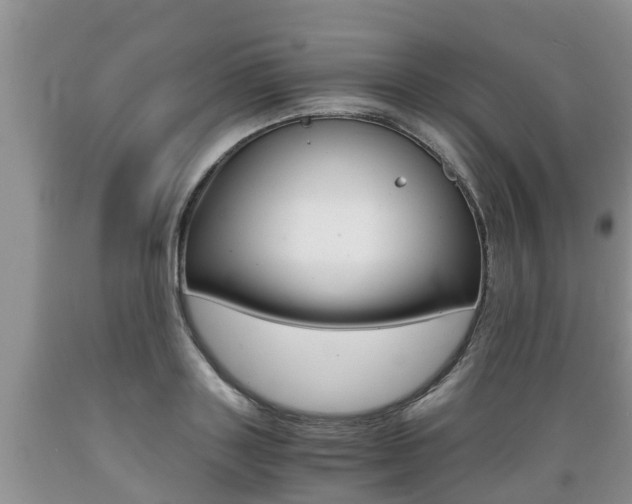 X0000089730843200706210914